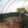 Worm Bins