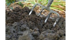 Organic Fertilizer