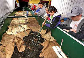 Commercial Worm Bins